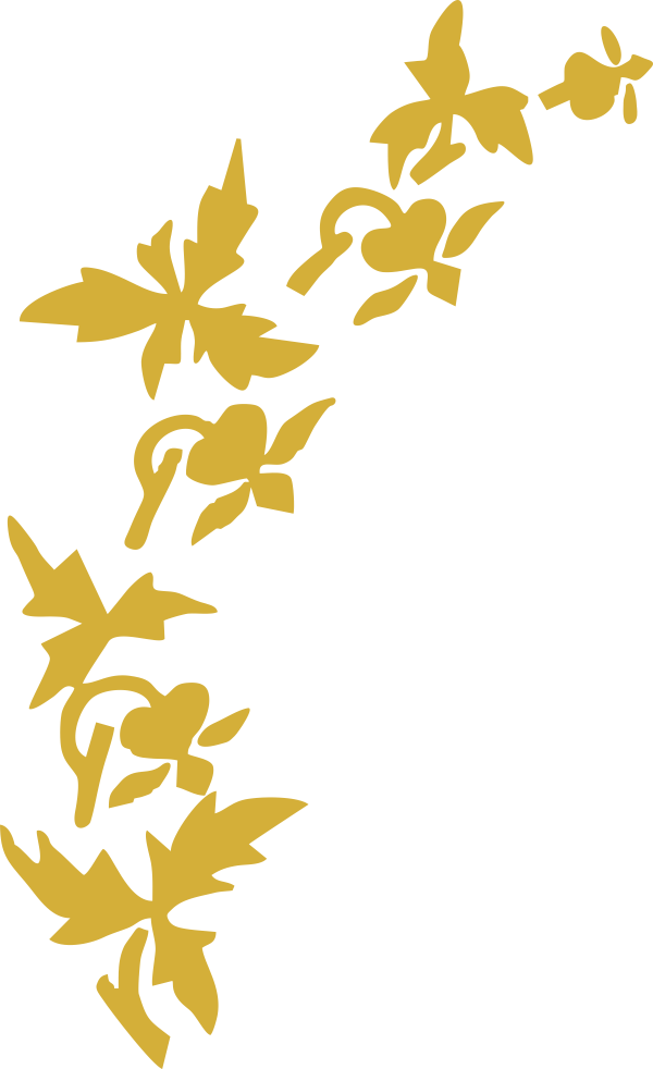 flower 201.png
